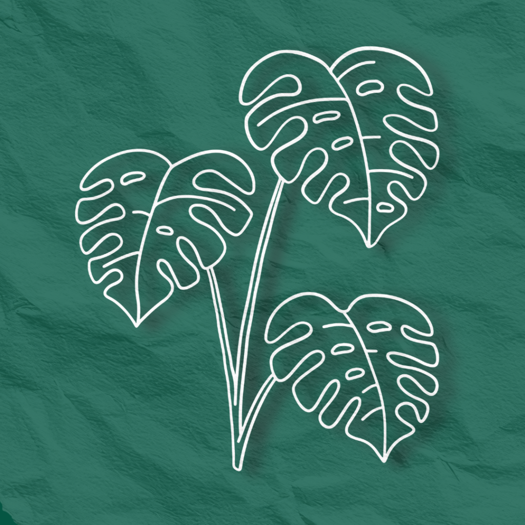HORTICULTURE 3