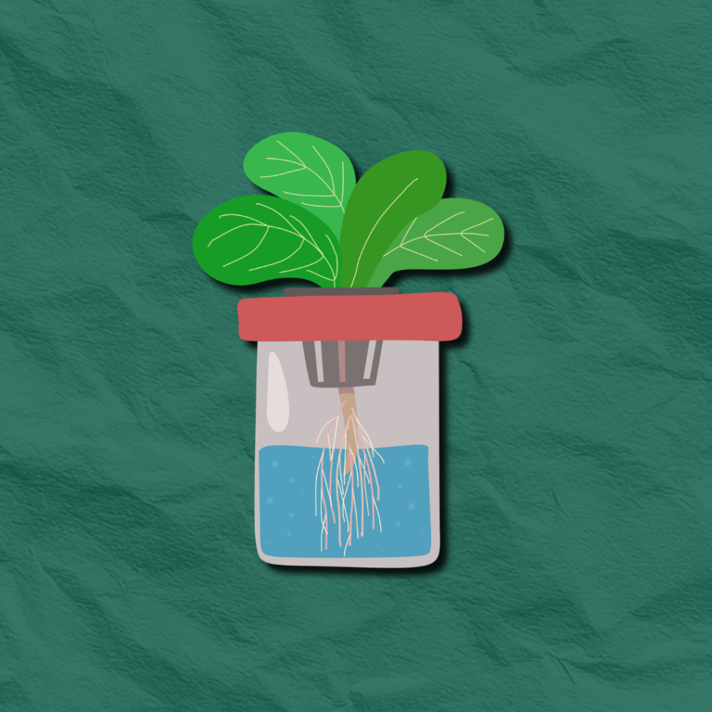 HORTICULTURE 11 1