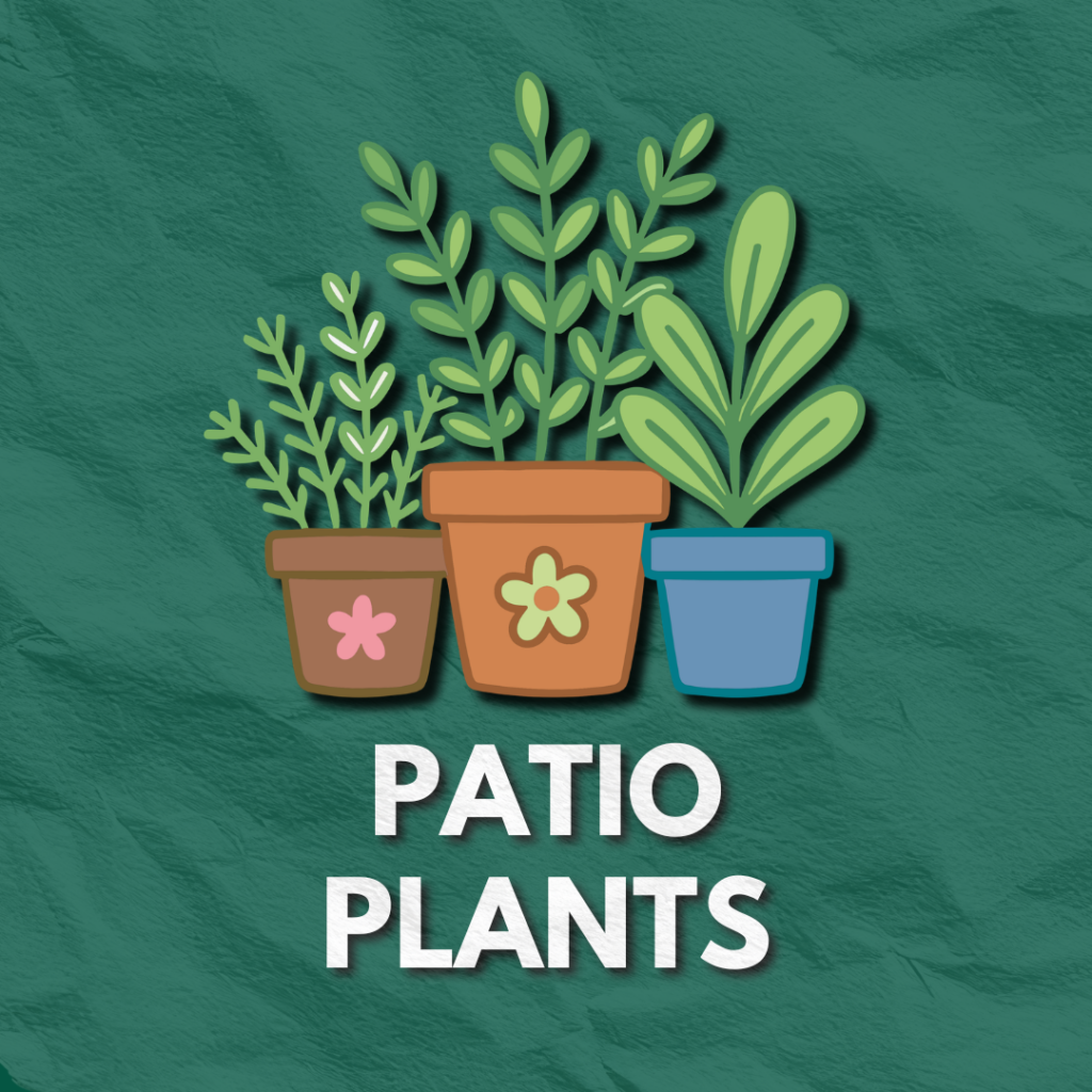 HORTICULTURE 11