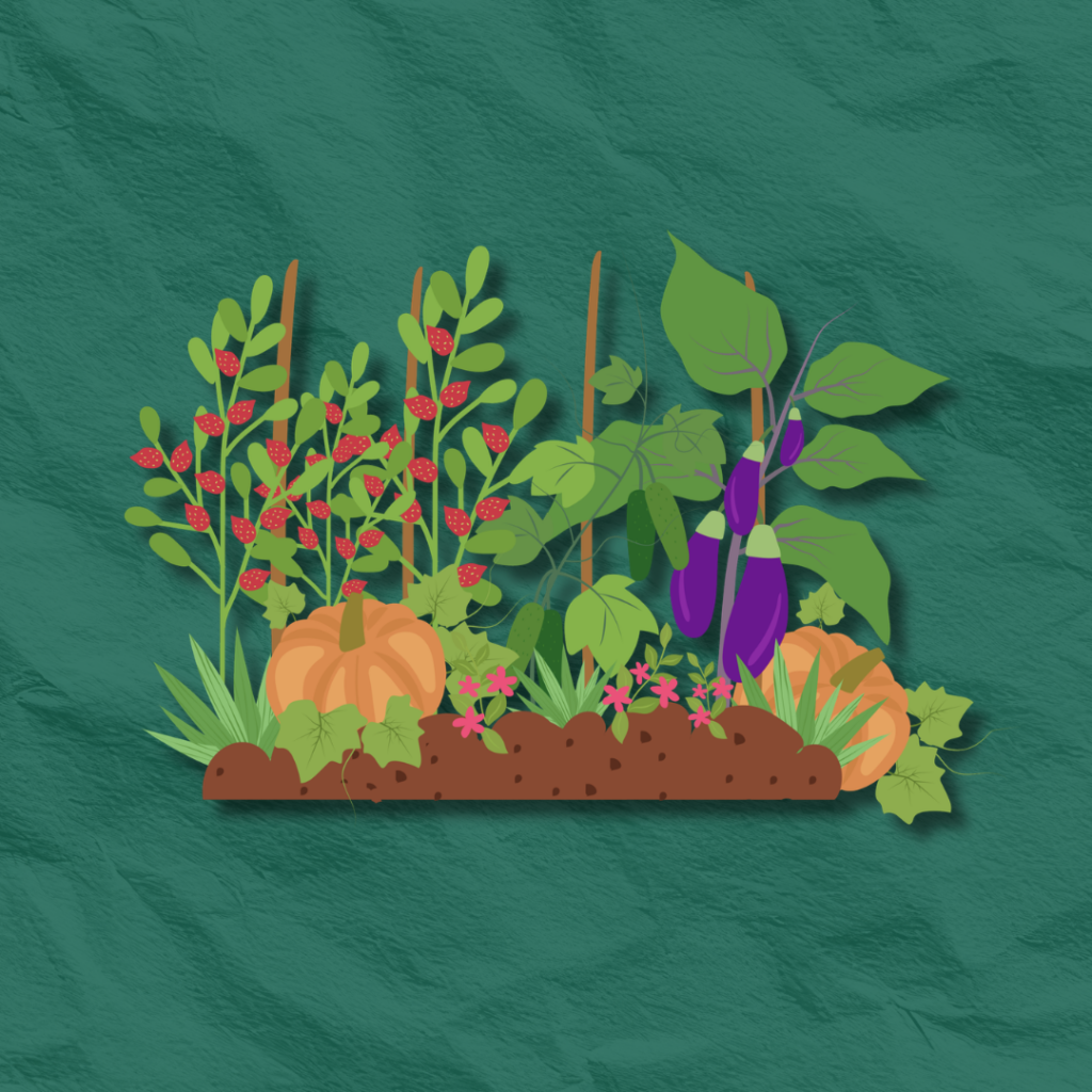 HORTICULTURE 12 1