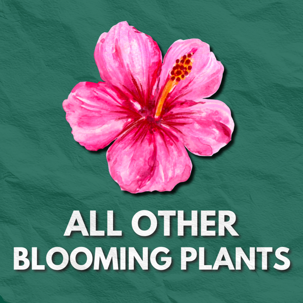 HORTICULTURE 14