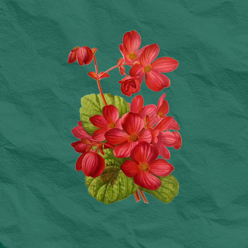 HORTICULTURE 2 1