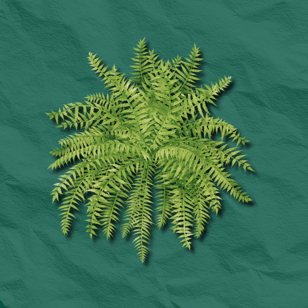 HORTICULTURE 3 1