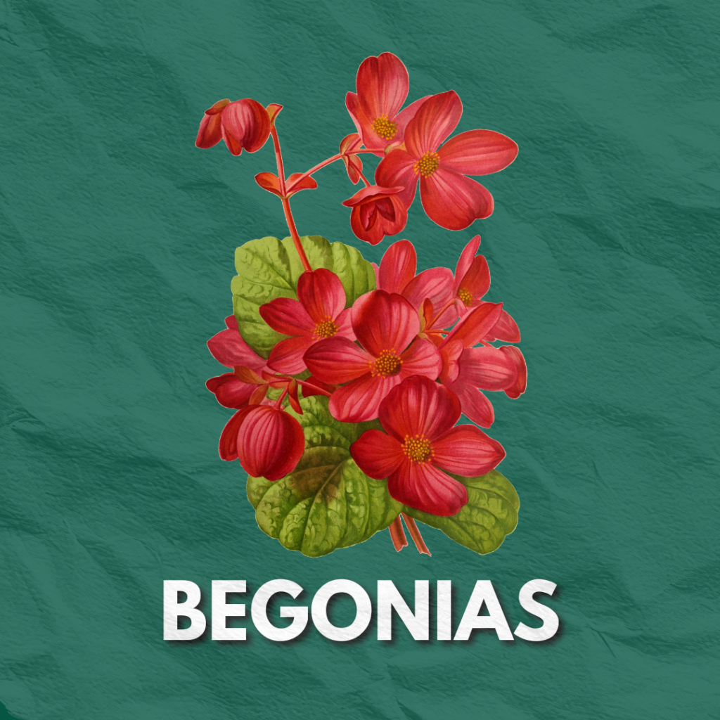 HORTICULTURE 3
