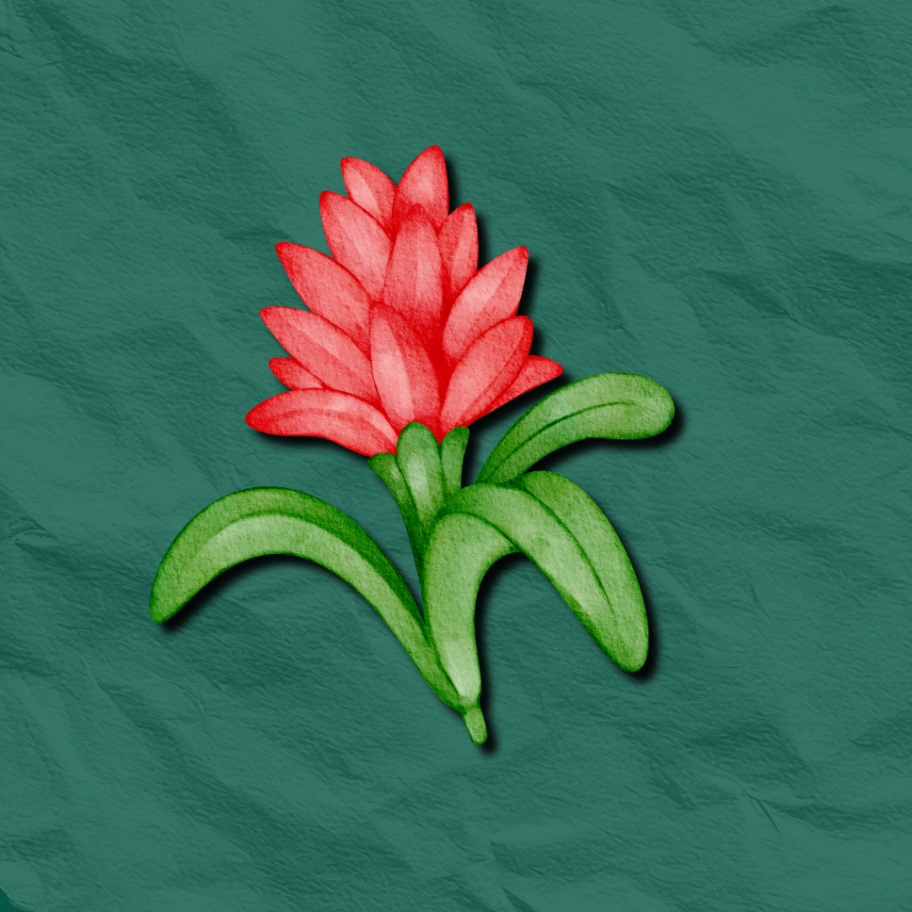 HORTICULTURE 5 1