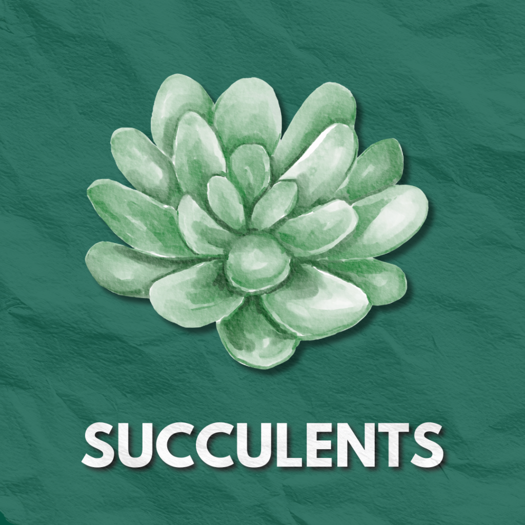 HORTICULTURE 5