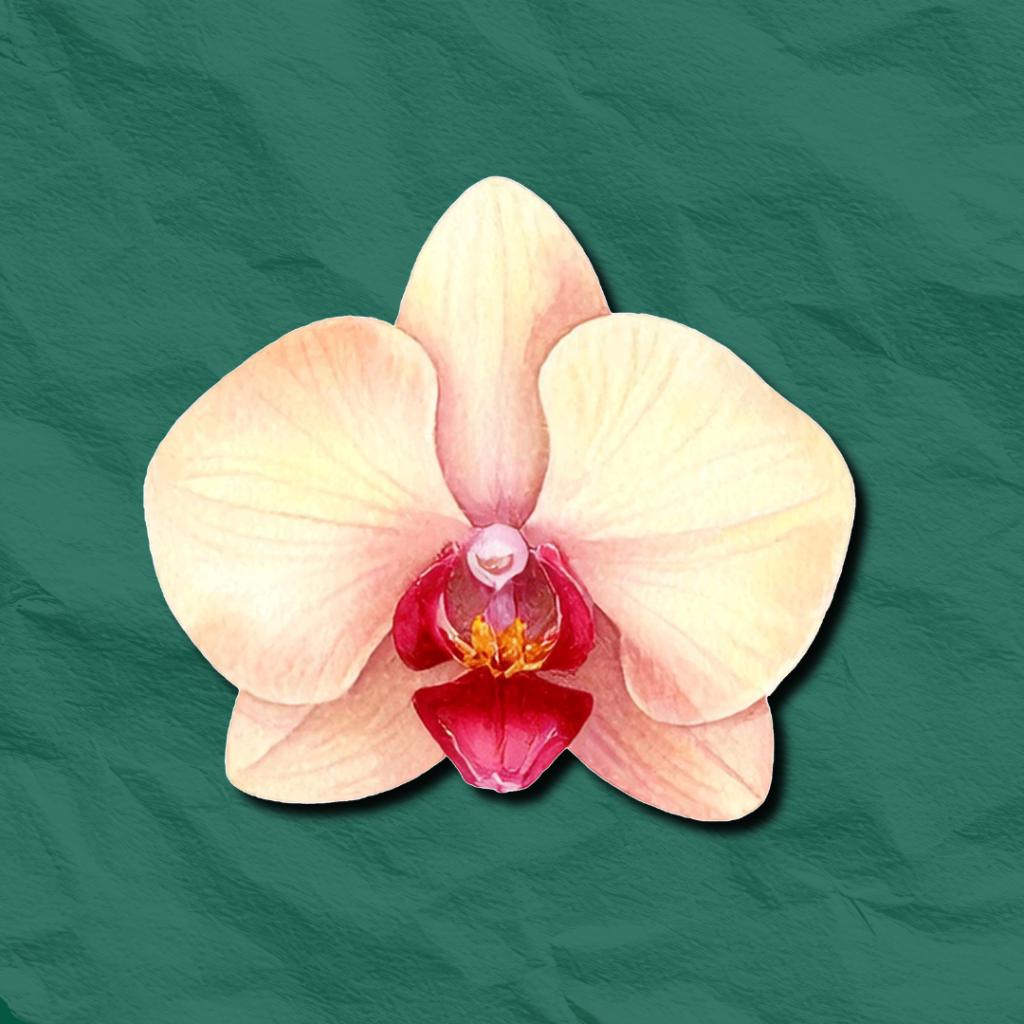HORTICULTURE 6 1