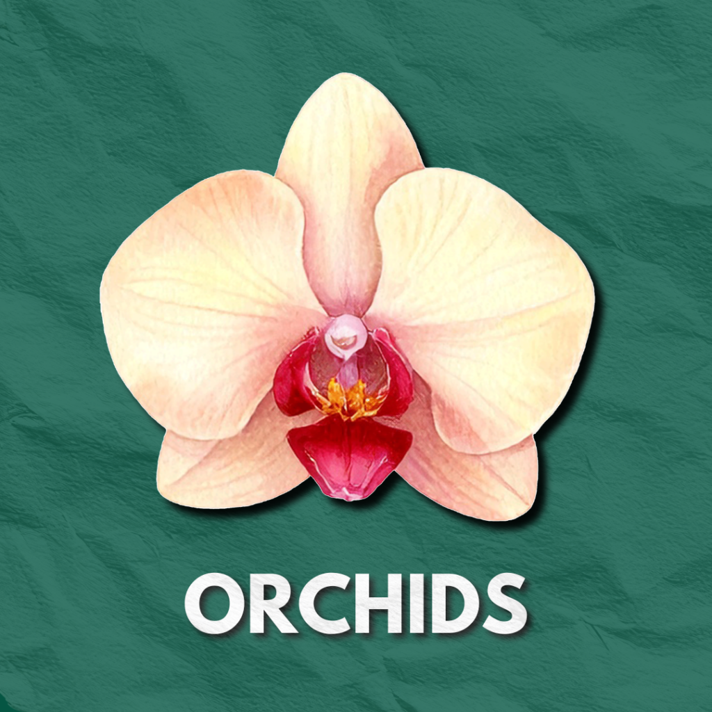 HORTICULTURE 7