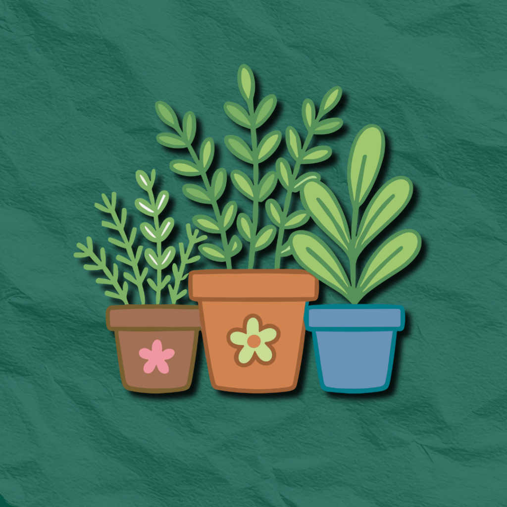 HORTICULTURE 9 1