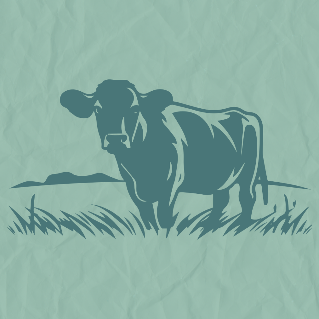 LIVESTOCK BEEF 2