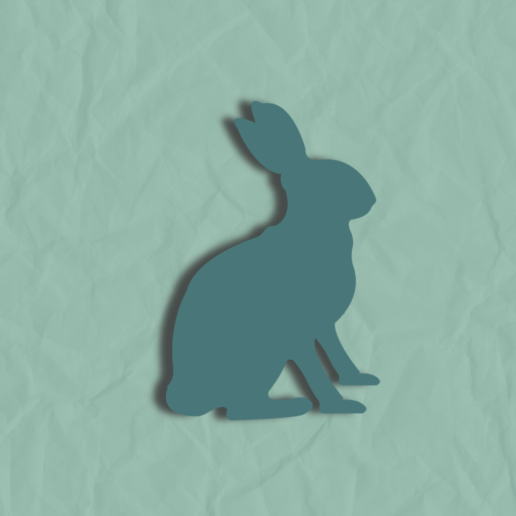 LIVESTOCK RABBIT 2