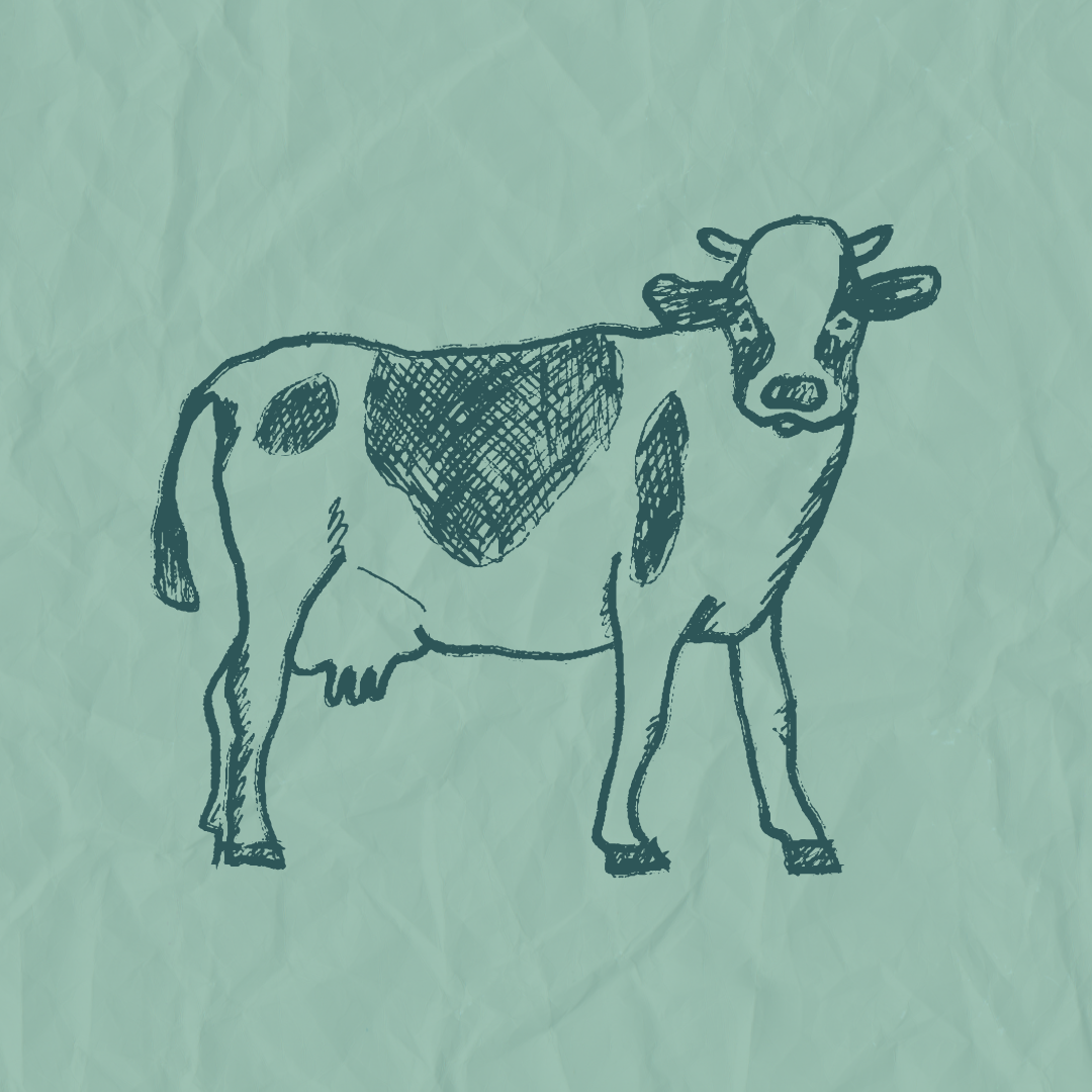 ALL THE AG! (Livestock Shows) 22 QUILT 1 1