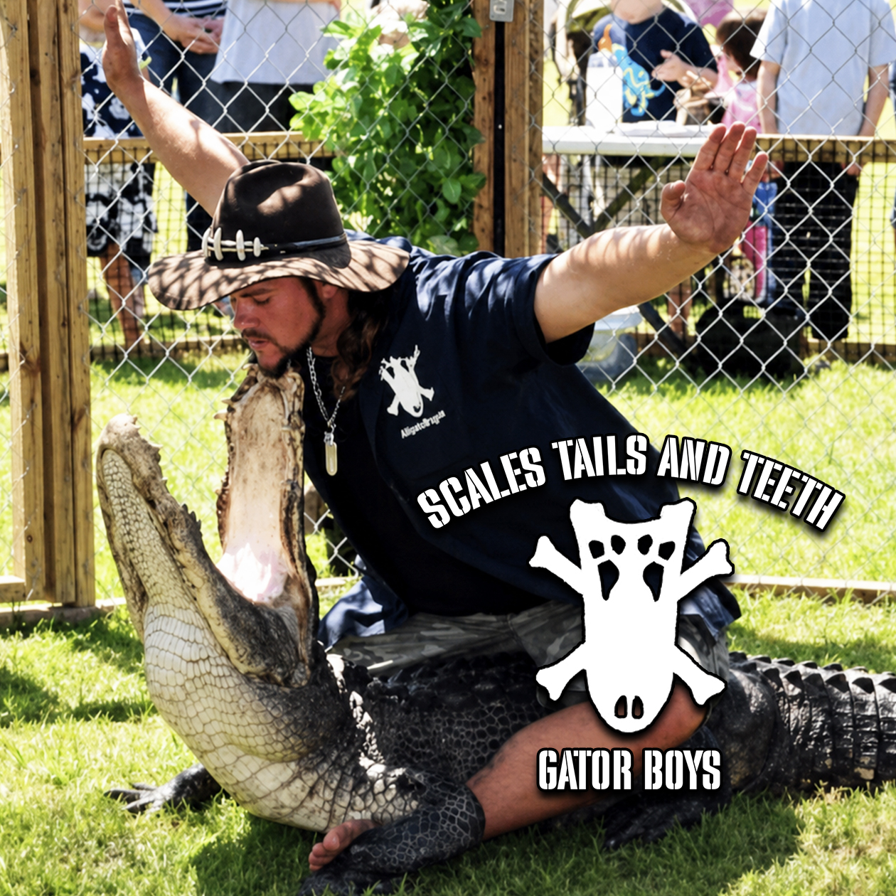 SCALES TAILS TEETH WEBSITE